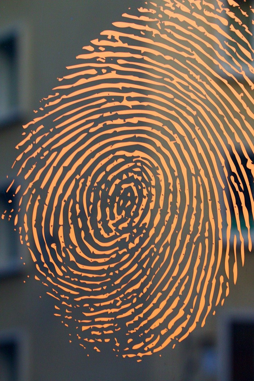 fingerprint, house, house facade